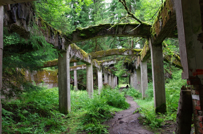 zaniklý důl Rolava (Sauersack), Krušné hory